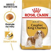 Sucha karma dla psów - Royal Canin Cavalier King Charles 27 0,5 kg - miniaturka - grafika 1