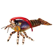 Maskotki i pluszaki - Langusta - miniaturka - grafika 1