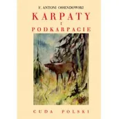 Felietony i reportaże - Karpaty i Podkarpacie - Ferdynand Antoni Ossendowski - miniaturka - grafika 1