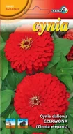 Nasiona i cebule - Cynia daliowa czerwona Zinnia elegans 1g / L / - miniaturka - grafika 1