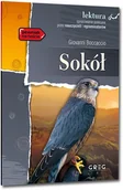 Lektury szkoły średnie - Sokół. Lektura z opracowaniem - Giovanni Boccaccio - książka - miniaturka - grafika 1