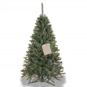 Choinki - Choinka sztuczna premium 250 cm świerk kaukaski - miniaturka - grafika 1