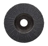Materiały ścierne - Bosch Flap Disc Blue Metal Top125X80 2608607328 - miniaturka - grafika 1