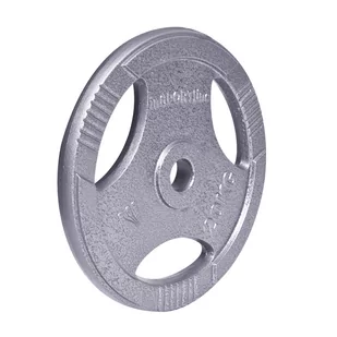 InSportLine Obciążenie Stalowe Insportline Hamerton 20 Kg (12713) - Obciążenia - miniaturka - grafika 1