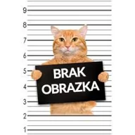 Miód - Wowka Miód perłowy z miętą 260 g - miniaturka - grafika 1
