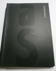 Strumiłło malarstwo 1988-1998 - Albumy o  sztuce - miniaturka - grafika 1