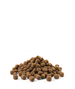 VERSELE-LAGA Opti Life Senior Mini 7,5kg - z kurczakiem - dla małych ras w wieku powyżej 7 lat - Sucha karma dla psów - miniaturka - grafika 4