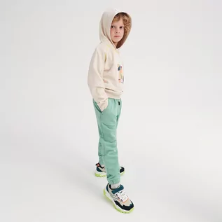 Spodnie i spodenki dla chłopców - Reserved Dzianinowe spodnie dresowe - Zielony - grafika 1