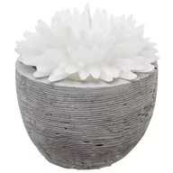 Świece - Świeca  dekoracyjna, biały kwiat w cementowej donicy, 100g - miniaturka - grafika 1
