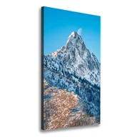 Obrazy i zdjęcia na płótnie - Foto obraz na płótnie pionowy Giewont Tatry - miniaturka - grafika 1