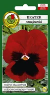 Nasiona i cebule - BRATEK SZWAJCARSKI ALPENGLUHEN CZERWONY Z PLAMĄ 0,8g - miniaturka - grafika 1