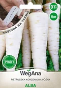 Nasiona i cebule - Pietruszka korzeniowa Alba nasiona na taśmie 6 m - WegAna - miniaturka - grafika 1