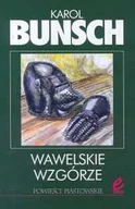 Literatura obyczajowa - Wawelskie wzgórze - miniaturka - grafika 1