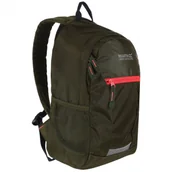 Plecaki szkolne i tornistry - Plecak dziecięcy Regatta Jaxon III 10L Kolor: różowy/zielony - miniaturka - grafika 1