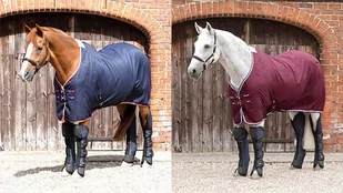 Premier Equine Derka osuszająca Buster Waffle Cooler - Derki dla konia - miniaturka - grafika 1