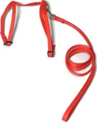 Smycze dla kotów - Alizoo Komplet dla kota, pasuje jak dla kociąt tak i dorosłemu. smycz szelki - ALIZOO - miniaturka - grafika 1