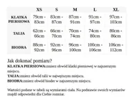 Odzież taktyczna i umundurowanie - Pit Bull Middle Weight 170 Basic Sunglasses Dog '25 - Malinowa - miniaturka - grafika 1