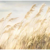 Fototapety - Fototapeta Dzika Trawa Natura Beżowy 300x210 cm Tapeta Do Sypialni Salonu Kuchni Na Flizelinie - miniaturka - grafika 1