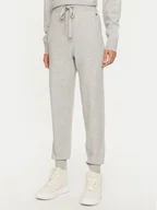 Spodnie sportowe damskie - REPLAY Spodnie dresowe DK3302.000.G23372 Szary Regular Fit - miniaturka - grafika 1