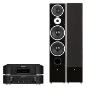 Zestawy stereo - Zestaw stereo: PM6007/CD6007/RAPTOR 9, Kolor: Silver-Gold - miniaturka - grafika 1