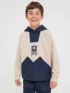 Swetry dla chłopców - Sinsay - Bluza z kapturem - beżowy - miniaturka - grafika 1