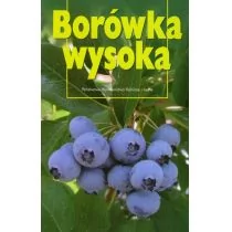 Borówka wysoka - Albumy - przyroda - miniaturka - grafika 1