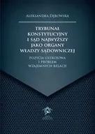 Technika - Trybunał Konstytucyjny i Sąd Najwyższy jako organy władzy sądowniczej - Aleksandra Dębowska - miniaturka - grafika 1