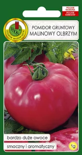 POMIDOR MALINOWY DUŻY SMACZNY NASIONA BEZ GMO - Nasiona i cebule - miniaturka - grafika 1