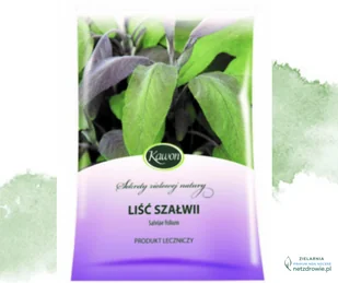 SZAŁWIA LIŚĆ zioło sypkie KAWON 50g - Zioła - miniaturka - grafika 1