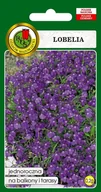 Nasiona i cebule - Lobelia Mitternachtsblau Fioletowa 0.2 g PNOS - miniaturka - grafika 1