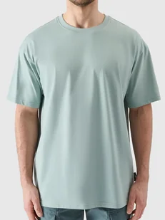 T-shirt oversize z nadrukiem męski 4F 4FRSS24TTSHM2543-47S Zielony Roz. L - Koszulki męskie T-shirt oversize z nadrukiem męski 4F 4FRSS24TTSHM2543-47S Zielony Roz. L - Koszulki męskie - miniaturka - grafika 1