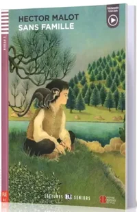 LF Sans famille książka + Mp3 audio B1 - Książki do nauki języka francuskiego LF Sans famille książka + Mp3 audio B1 - Książki do nauki języka francuskiego - miniaturka - grafika 1