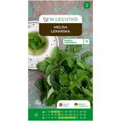 Nasiona i cebule - Melisa lekarska Melissa officinalis nasiona ziół W.Legutko - miniaturka - grafika 1