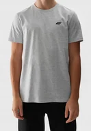 Koszulki męskie - Koszulka Męska 4F Szary T-shirt Bawełniany Podkoszulek BASIC Sportowy S - miniaturka - grafika 1
