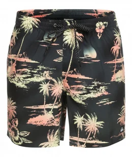 Męskie spodenki plażowe Quiksilver Everyday Mix 17" Volleys - czarne - QUIKSILVER - Spodnie sportowe męskie - miniaturka - grafika 1