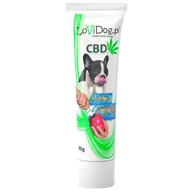 Suplementy i witaminy dla psów - Lovi Dog Snack Premium Pate With CBD - pasztet dla psa w tubce, z wątróbką i suszem konopnym 90g - miniaturka - grafika 1