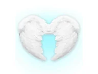 Dodatki do strojów karnawałowych - Skrzydła anioła z białymi piórami i futerkiem - 37 x 50 cm - 1 szt. - miniaturka - grafika 1