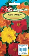 Nasiona i cebule - KOSMOS „ONĘTEK” SIARKOWY (COSMOS SULPHUREUS) NASIONA 1 G - miniaturka - grafika 1