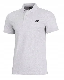 4F MÄSKA KOSZULKA POLO POLĂ“WKA BAWEĹNA / rozm XXXL 3XL - Koszulki męskie 4F MÄSKA KOSZULKA POLO POLĂ“WKA BAWEĹNA / rozm XXXL 3XL - Koszulki męskie - miniaturka - grafika 1