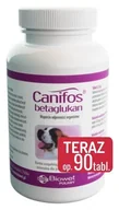 Suplementy i witaminy dla psów - BIOWET Canifos Betaglukan 90 tab. - miniaturka - grafika 1