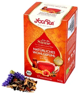 Yogi Tea herbata Naturalny Dobrostan BIO Hibiskus Rokitnik Mandarynka Imbir - Herbata - miniaturka - grafika 1