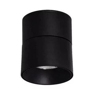 Spot metalowy Estetica ABR-LPR-15W-C-WW Abruzzo LED 15W 2700-3200K czarny - Lampy sufitowe - miniaturka - grafika 1