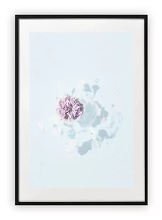 Plakat A4 21x30 cm  Roślina Kwiat Róż  WZORY - Plakaty - miniaturka - grafika 1
