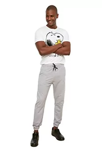 Trendyol Szary Męskie Regularne Fit Sewing Szczegółowe spodnie dresowe męskie, Szary, XL - Spodnie sportowe męskie - miniaturka - grafika 1