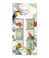 Zakładki do książek - Szara Zakładki Magnetyczne - Jaki jest Bóg - Ptaki - gadżet - miniaturka - grafika 1