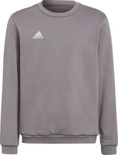 Bluza dla dzieci adidas Entrada 22 Sweat Top szara H57477-176cm - Bluzy damskie - miniaturka - grafika 1