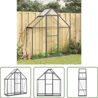 Szklarnie ogrodowe - The Living Store Szklarnia z ramą fundamentową antracyt 169x58x195 cm aluminium - miniaturka - grafika 1