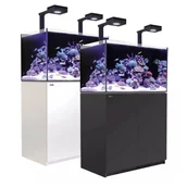 Akwaria i zestawy akwarystyczne - Red Sea REEFER G2+ 250 Deluxe System zestaw akwarium z czarną szafką - miniaturka - grafika 1
