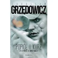 Powieści - Fabryka Słów Popiół i kurz czyli opowieść ze świata pomiędzy Jarosław Grzędowicz 9788379641178 - miniaturka - grafika 1