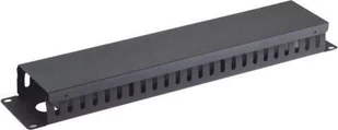 Organizer Triton 19" vyvazovací panel 2U, celokovový s krytem 90x45mm, průchozí, černý - Maskownice do kabli - miniaturka - grafika 1